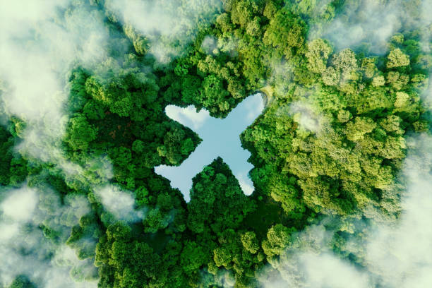 Tourism and Travel document translation